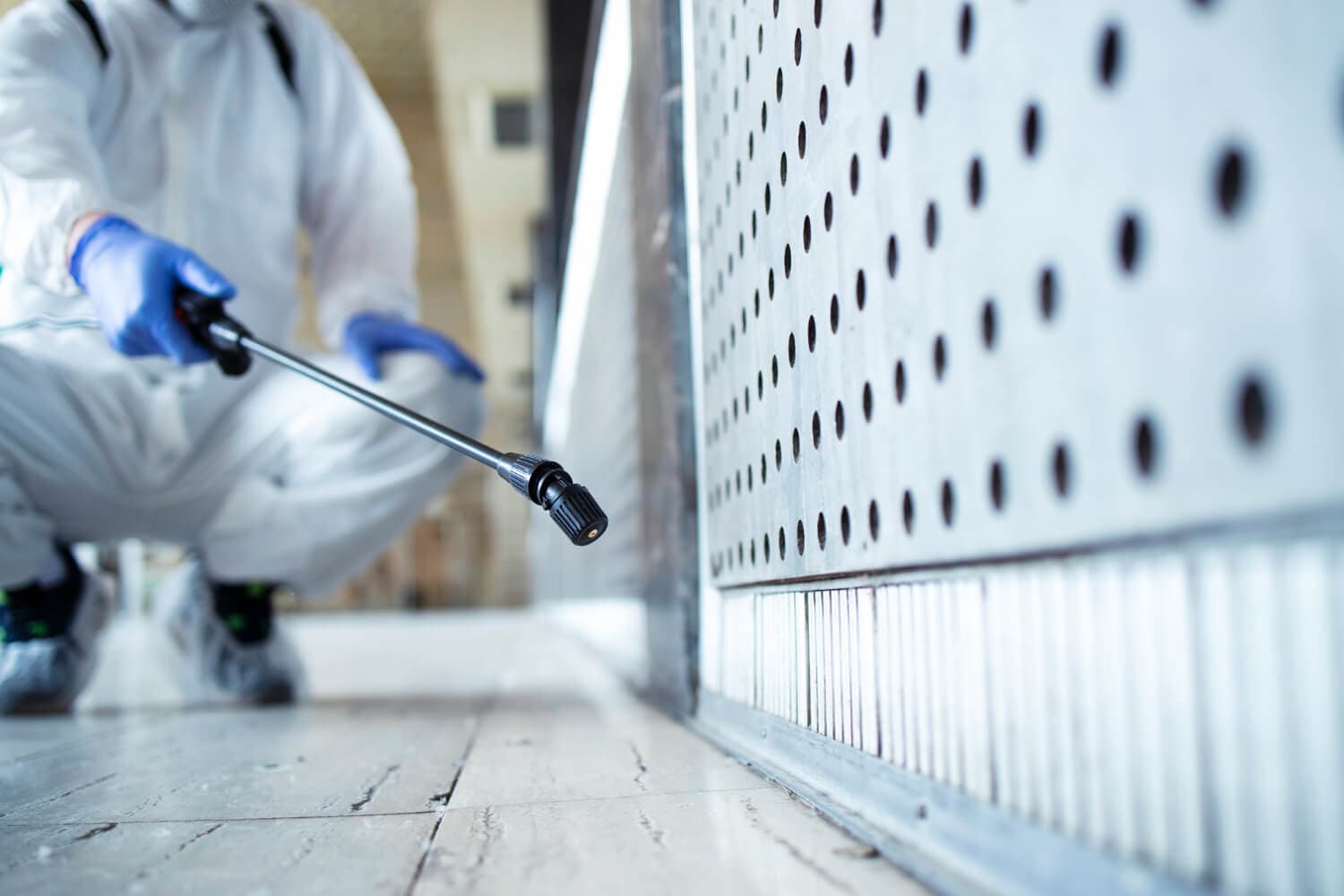 skipping-building-and-pest-inspections