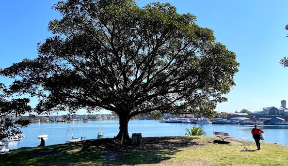 Balmain snapshot image 1