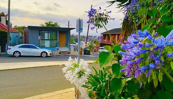 Leichhardt snapshot image 4